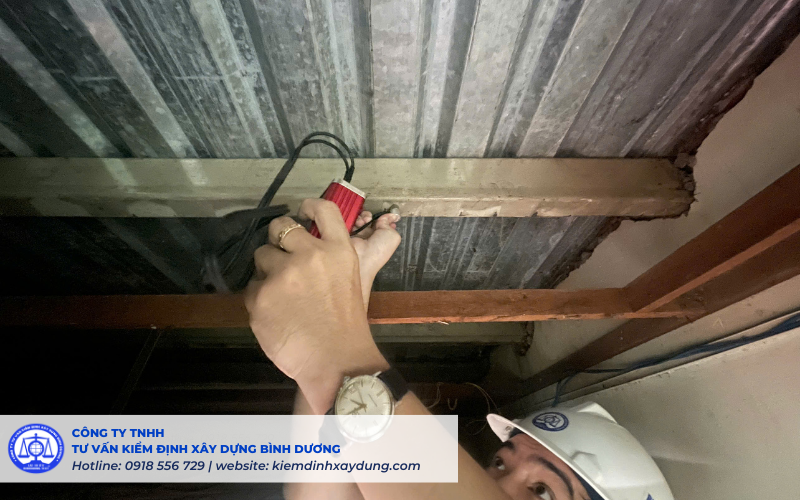 Thực hiện kiểm định Công ty cổ phần Bệnh viện Thuận Mỹ TDM