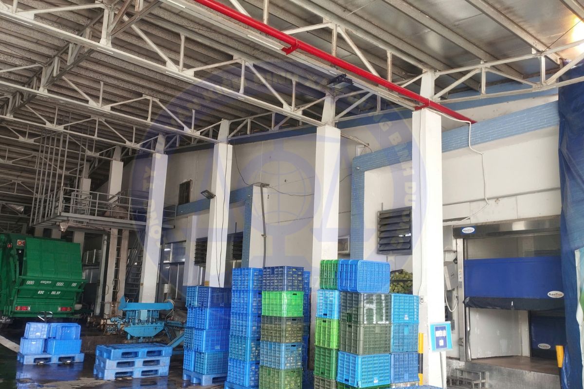 Khi nào cần kiểm định nhà xưởng phục vụ thủ tục pháp lý?